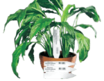 Маркування рослин бірками, етикетками